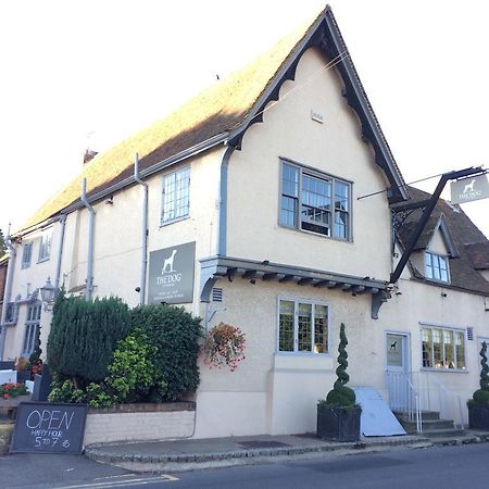 The Dog At Wingham Exterior foto