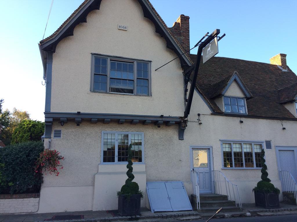 The Dog At Wingham Exterior foto