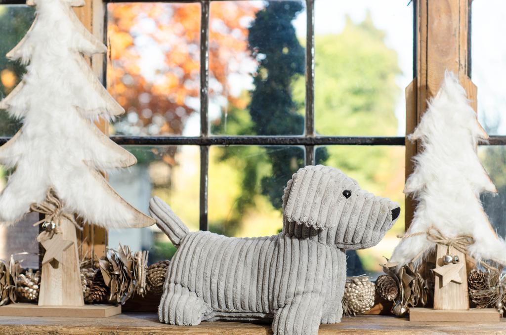 The Dog At Wingham Exterior foto