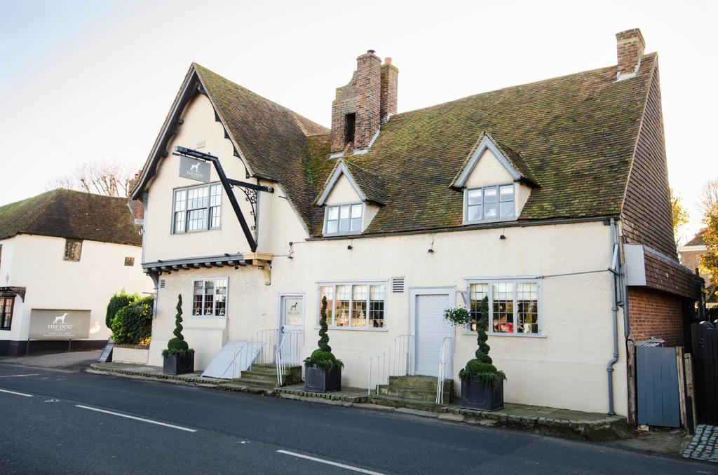 The Dog At Wingham Exterior foto